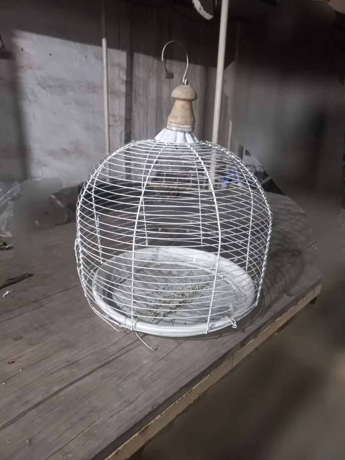 قفس|لوازم جانبی حیوانات|رامهرمز, |دیوار