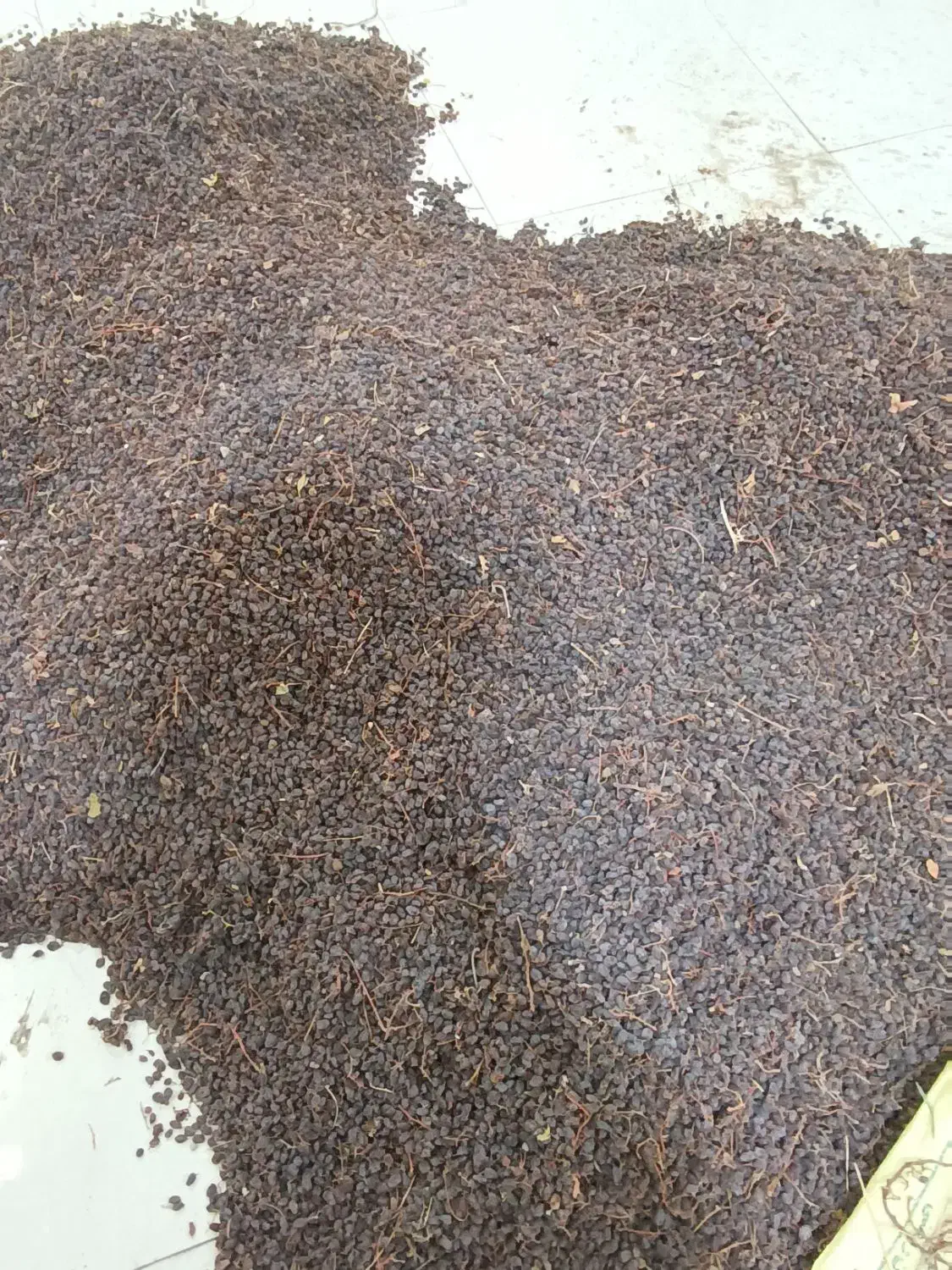 کشمش افتابی|خوردنی و آشامیدنی|بناب, |دیوار