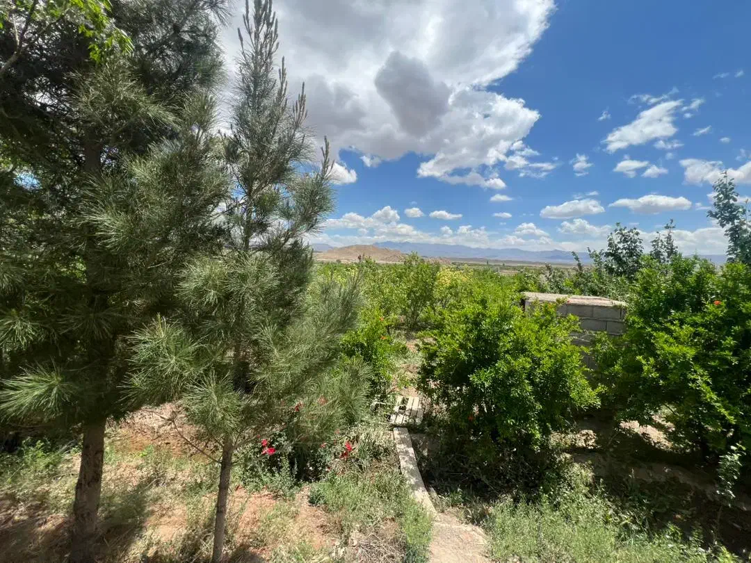 باغ انار قلعهچم|فروش زمین و ملک کلنگی|سلفچگان, |دیوار