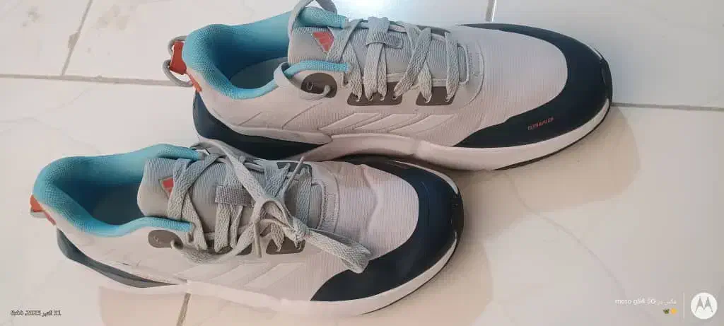 کتونی اورجینال|کیف، کفش، کمربند|محمدشهر, سیدآباد|دیوار