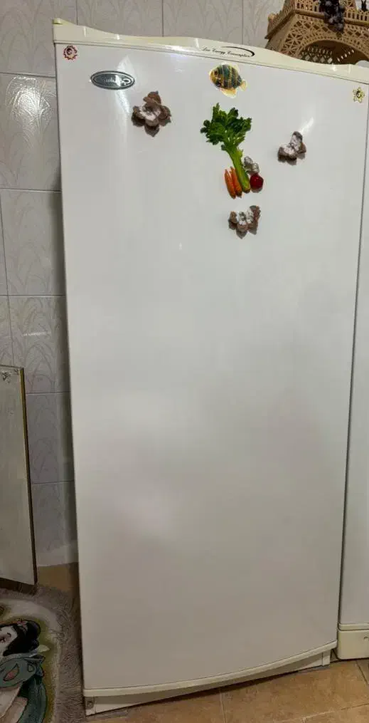 وسایل خانه|یخچال و فریزر|آران و بیدگل, |دیوار