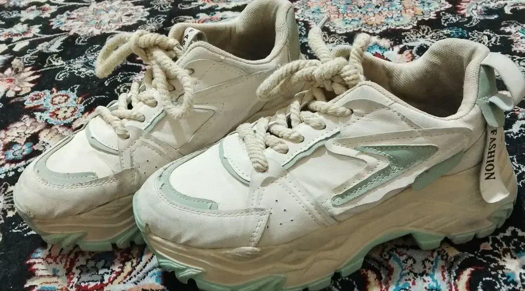 کفش شیک|کیف، کفش، کمربند|یاسوج, |دیوار