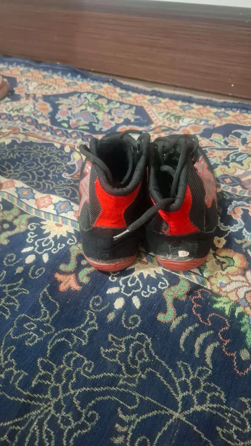 کفش کشتی|کیف، کفش، کمربند|کرمانشاه, |دیوار