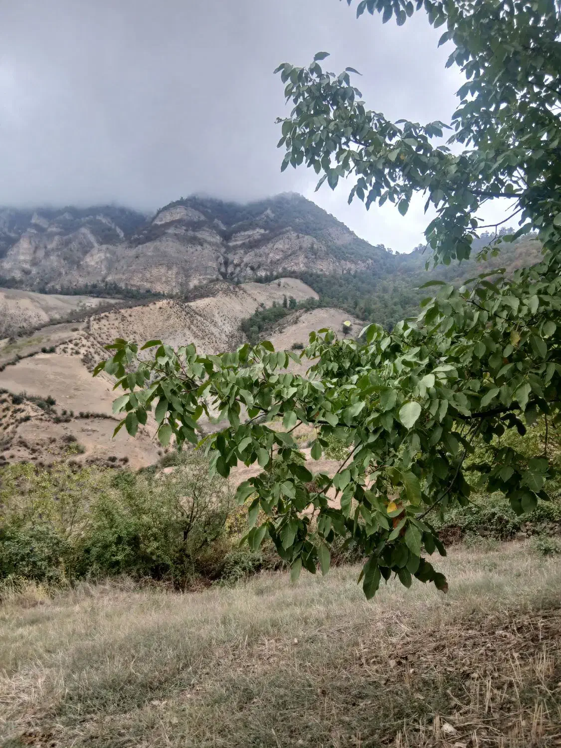 فروش زمین روستای سرسبز قورچای رامیان|فروش زمین و ملک کلنگی|رامیان, |دیوار