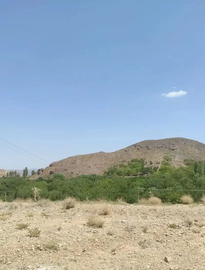 ۲۵۰مترمسکونی ساردو درب بهشت نصف قیمت بازار|فروش زمین و ملک کلنگی|درب بهشت, |دیوار