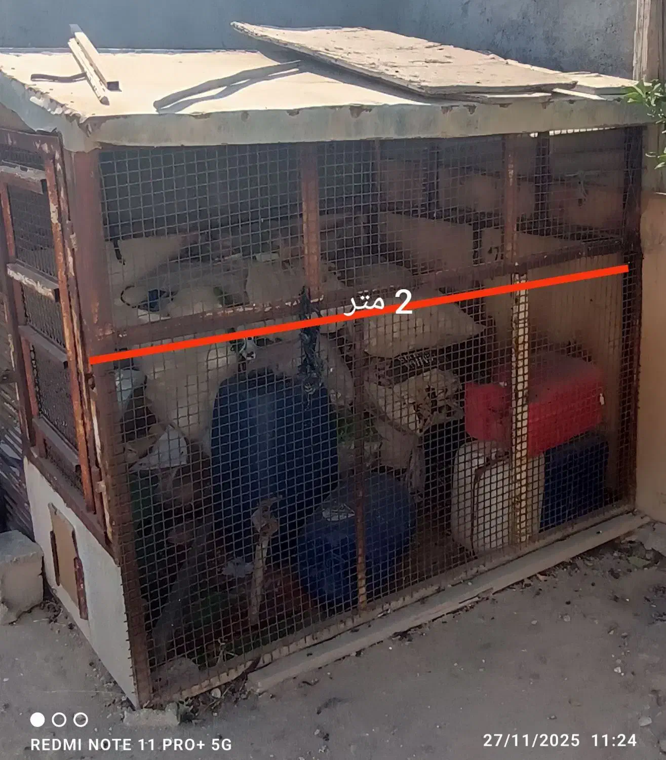 قفس|لوازم جانبی حیوانات|دلوار, |دیوار