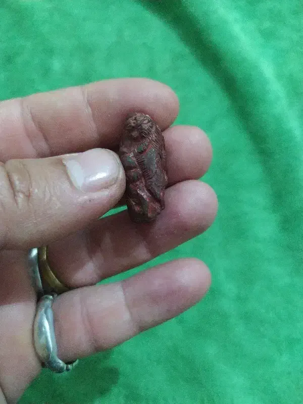 مهره هبهاب|کلکسیون اشیاء عتیقه|مهران (ایلام), |دیوار