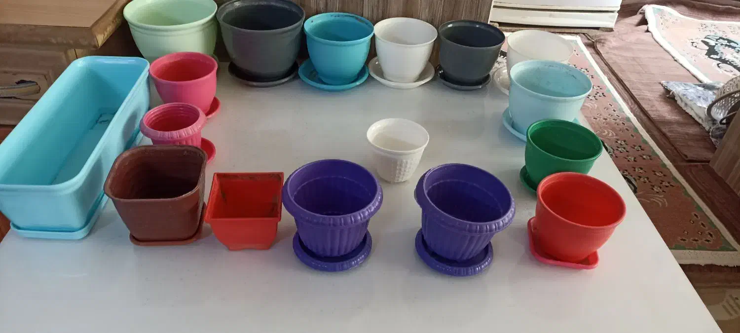 گلدان پلاستیکی|گل و گیاه طبیعی|تهران, مسعودیه|دیوار