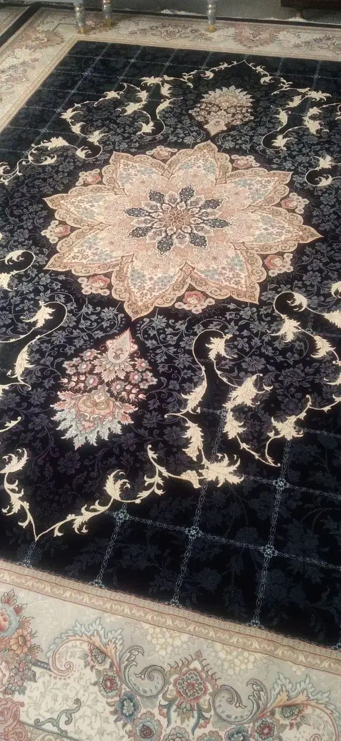 فرش ۱۲ متری نو|فرش|ایلام, |دیوار