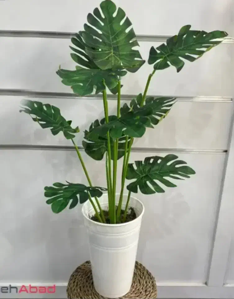 هدیه روز مادر لوستر و گل کنارسالنی زیرقیمت بازار|لوستر و چراغ آویز|یزد, |دیوار