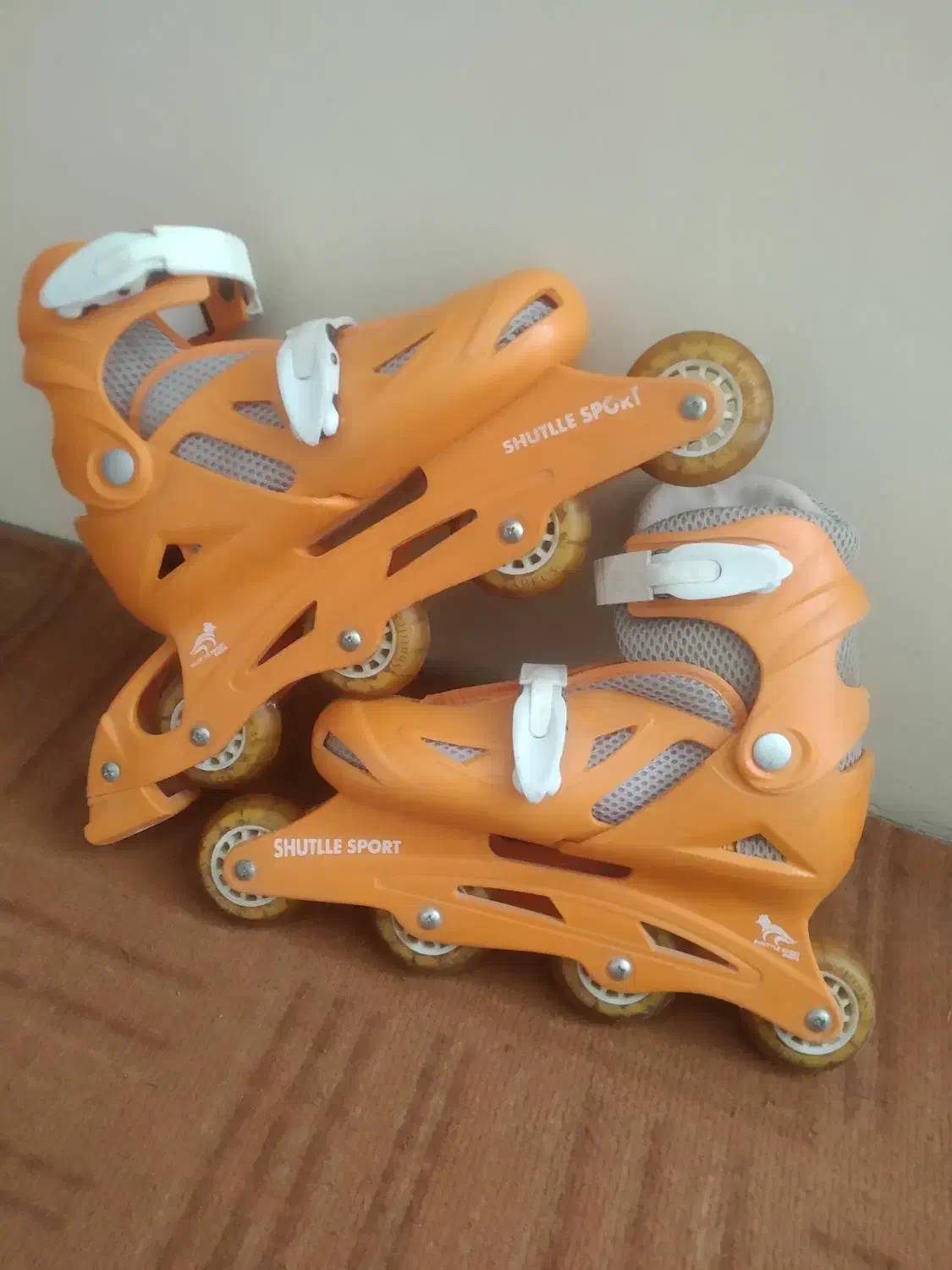 اسکیت اصلی|دوچرخه، اسکیت، اسکوتر|شیراز, باغ تخت|دیوار