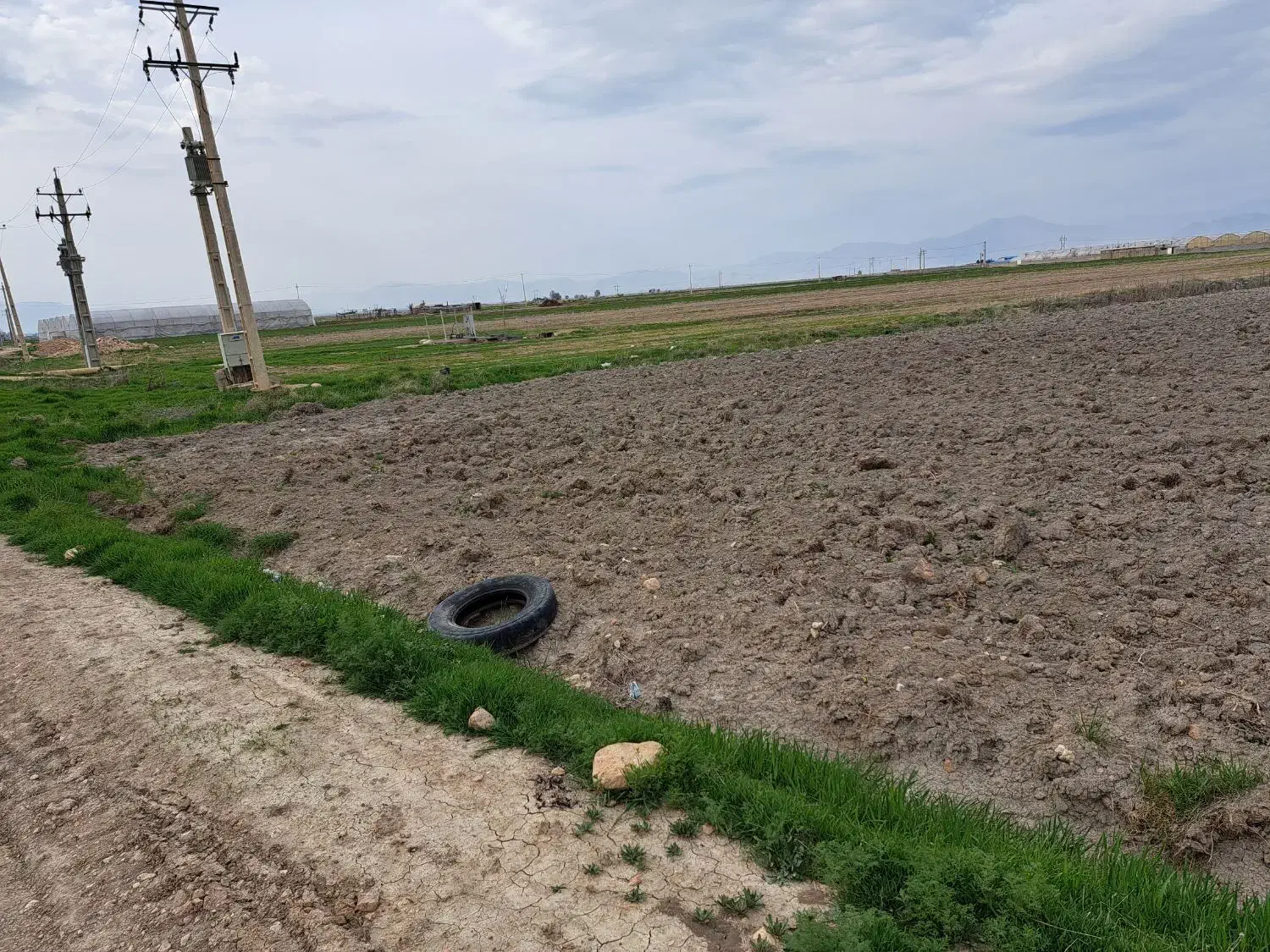 فروش زمین کشاورزی|فروش دفتر صنعتی، کشاورزی، تجاری|بیضا, |دیوار