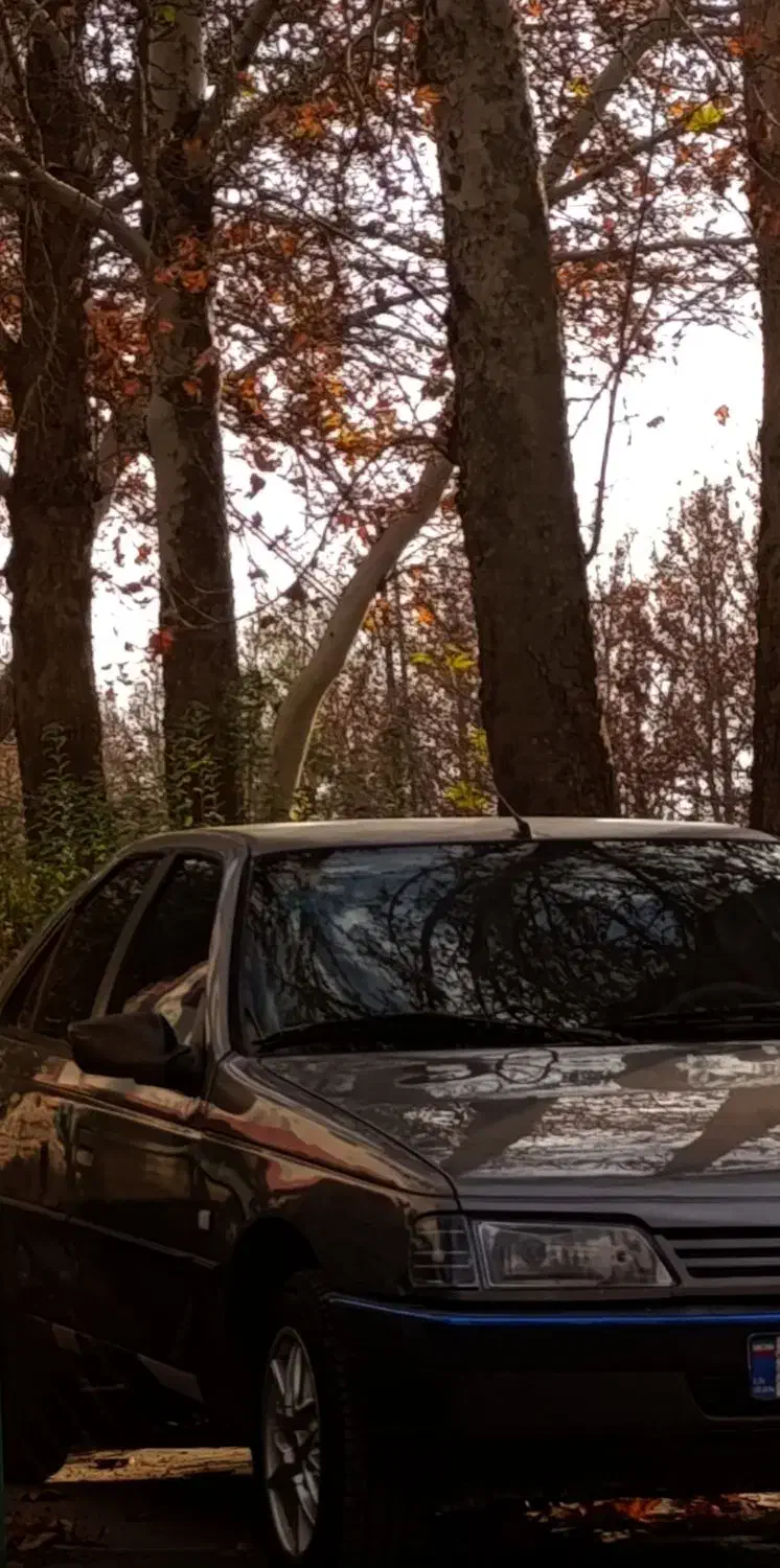 پژو مدل 91|خودرو سواری و وانت|الوند, |دیوار