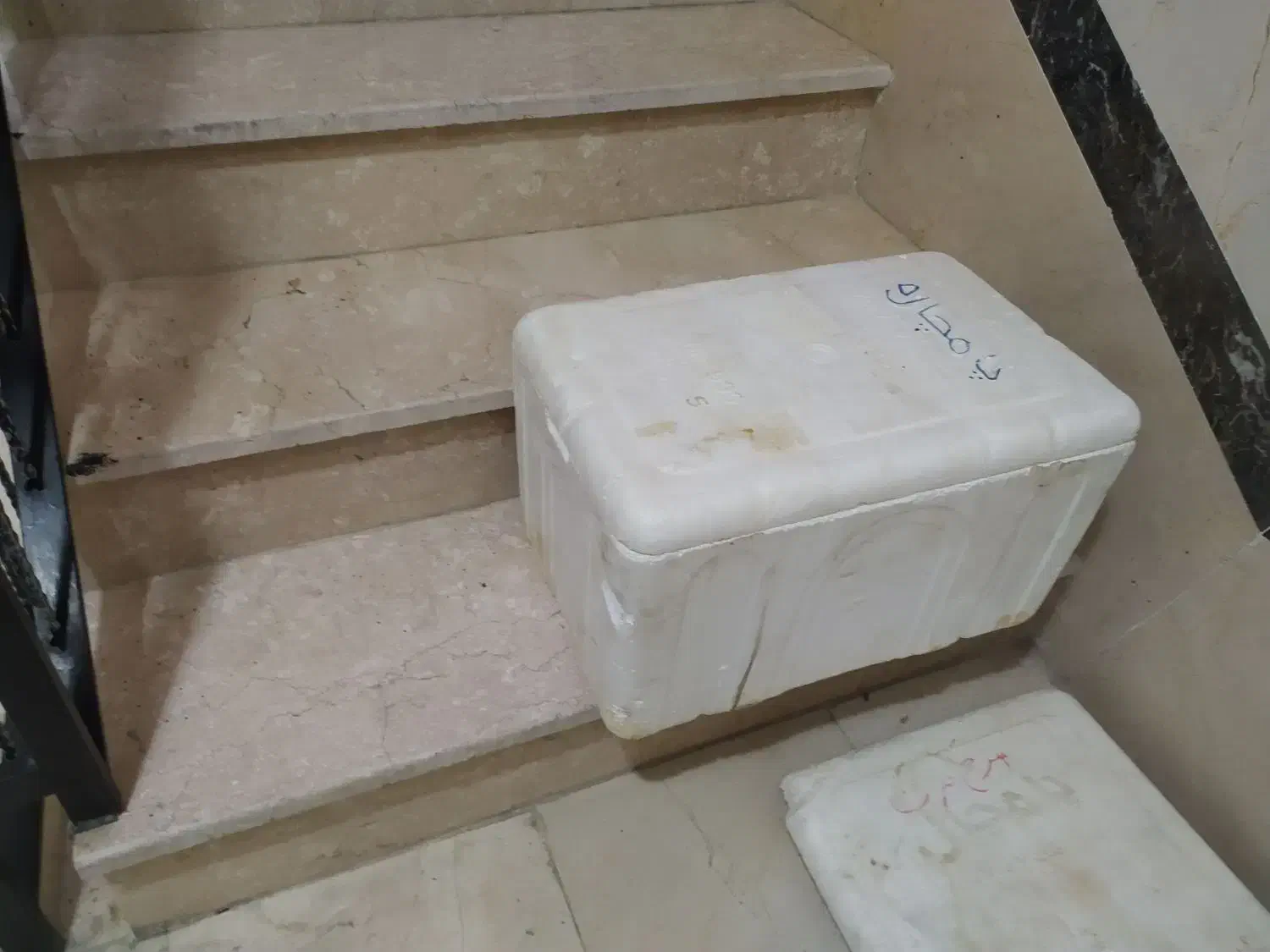 یخدون یونولیتی|ظروف نگهدارنده، پلاستیکی، یک‌بارمصرف|فردیس, نسترن شرقی|دیوار