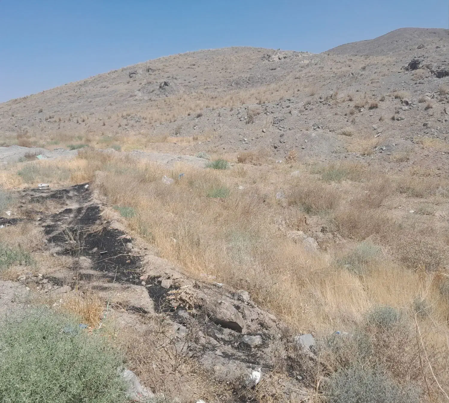 فازگلستان دستجرد|فروش زمین و ملک کلنگی|خلجستان, |دیوار