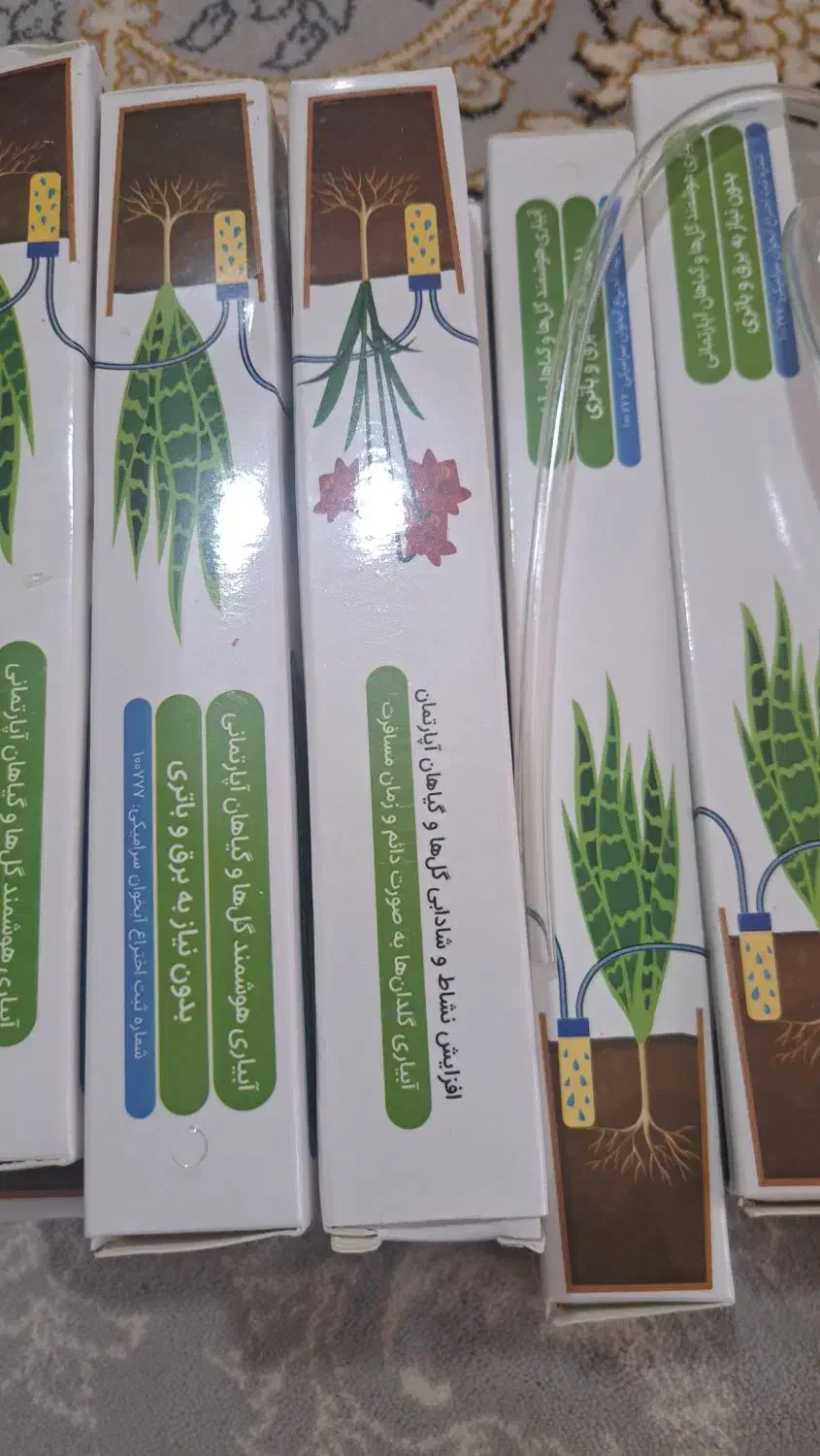 آبخوان گل|گل و گیاه طبیعی|هشتگرد, فاز ۲ مهستان|دیوار