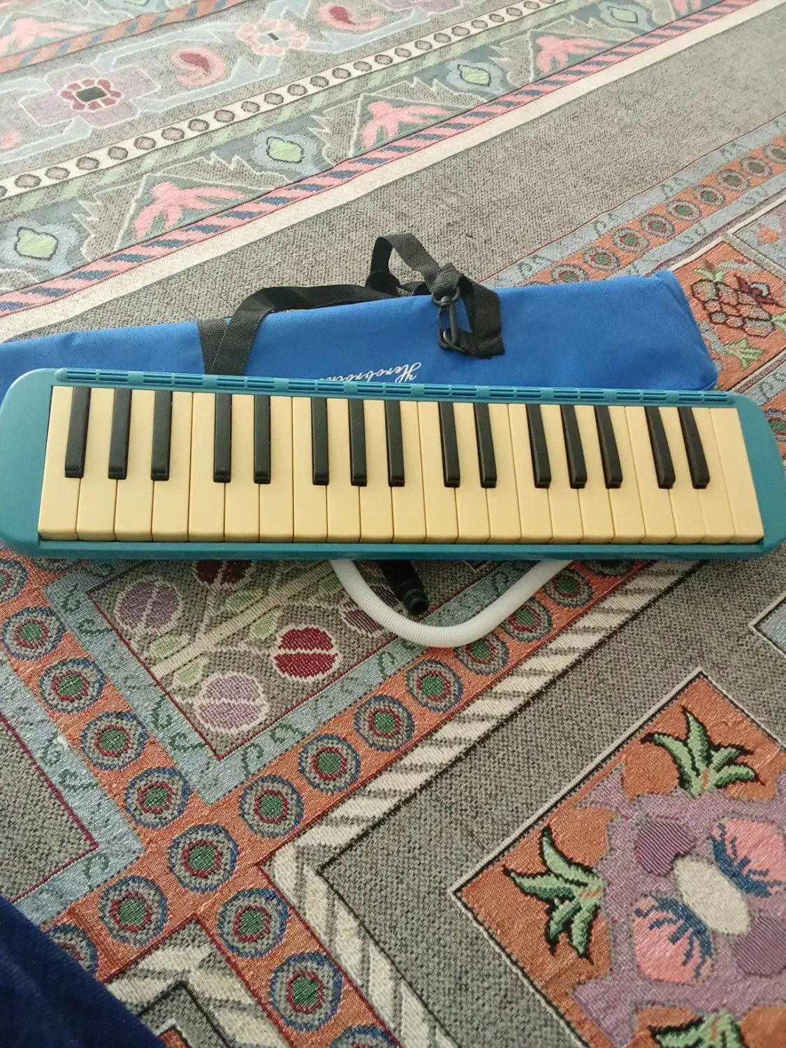 فروش یک عدد ساز بادی|سازهای بادی|نورآباد, |دیوار