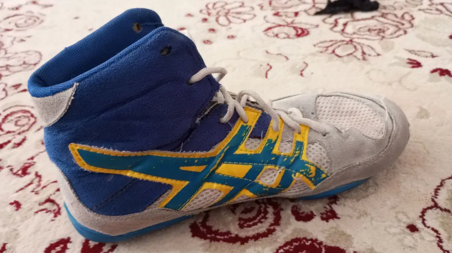 کفش کشتی نو|کیف، کفش، کمربند|قم, سید معصوم|دیوار