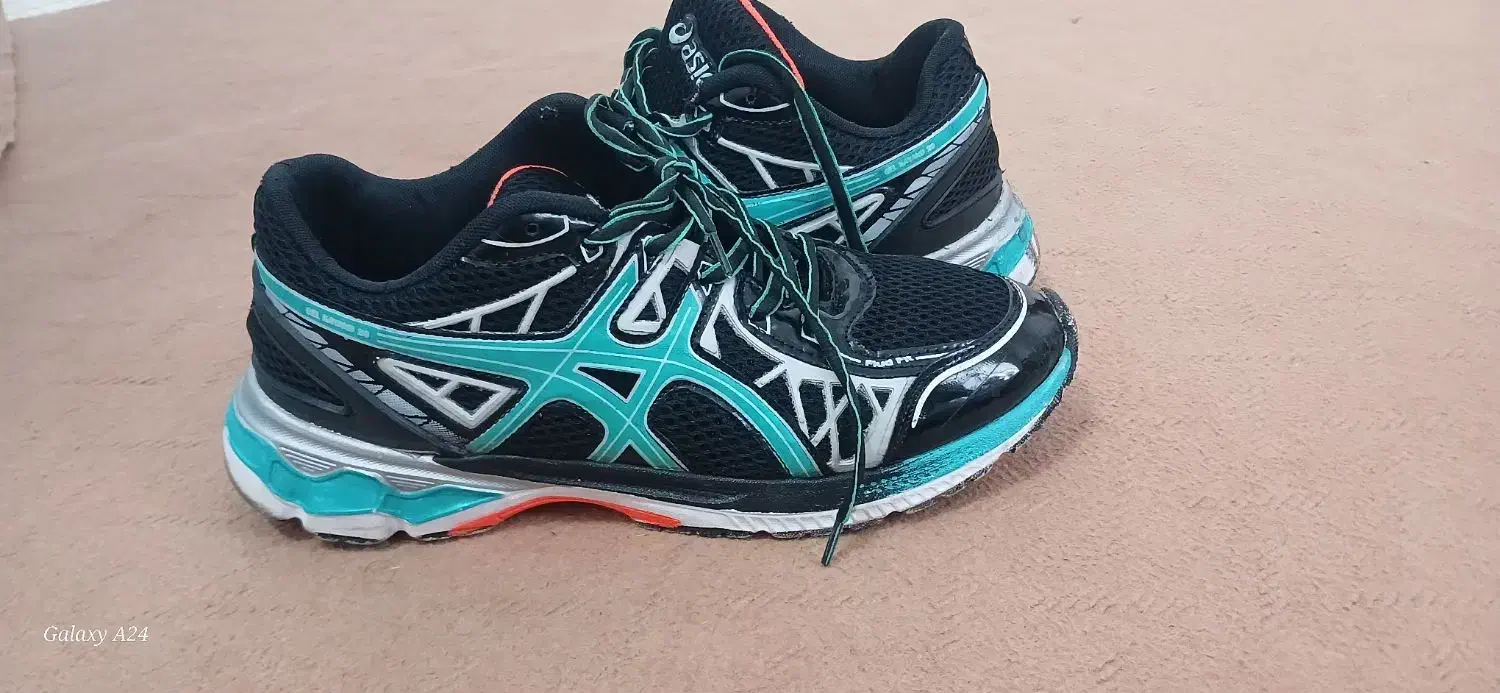 کفش|کیف، کفش، کمربند|قوچان, |دیوار