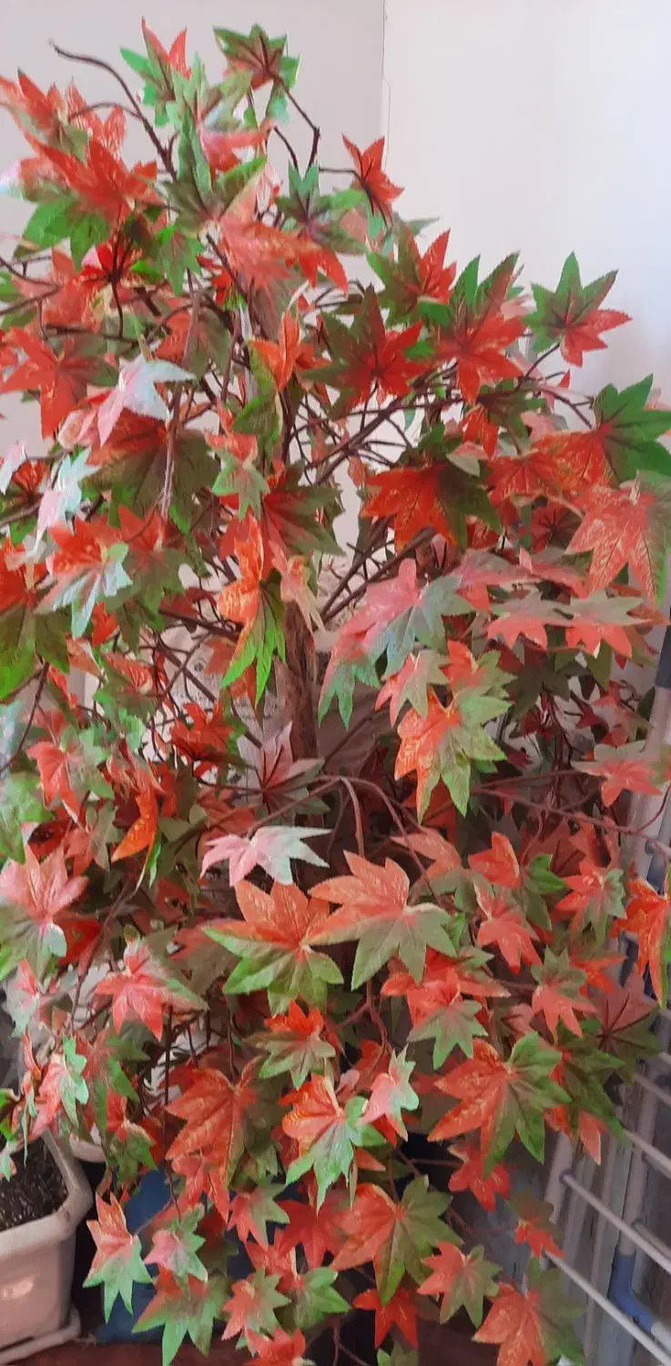 گل مصنوعی|گل مصنوعی|فسا, |دیوار