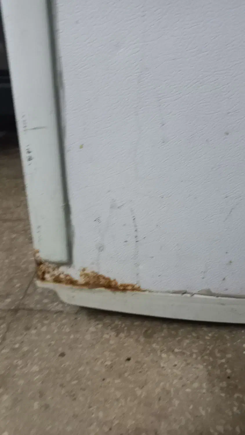 یخچال فریزر دو قلو الکترو استیل|یخچال و فریزر|کاشان, پشت شهربانی|دیوار