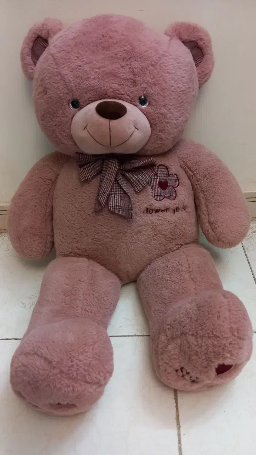 خرس پولیشی|اسباب‌‌بازی|قائم‌شهر, |دیوار