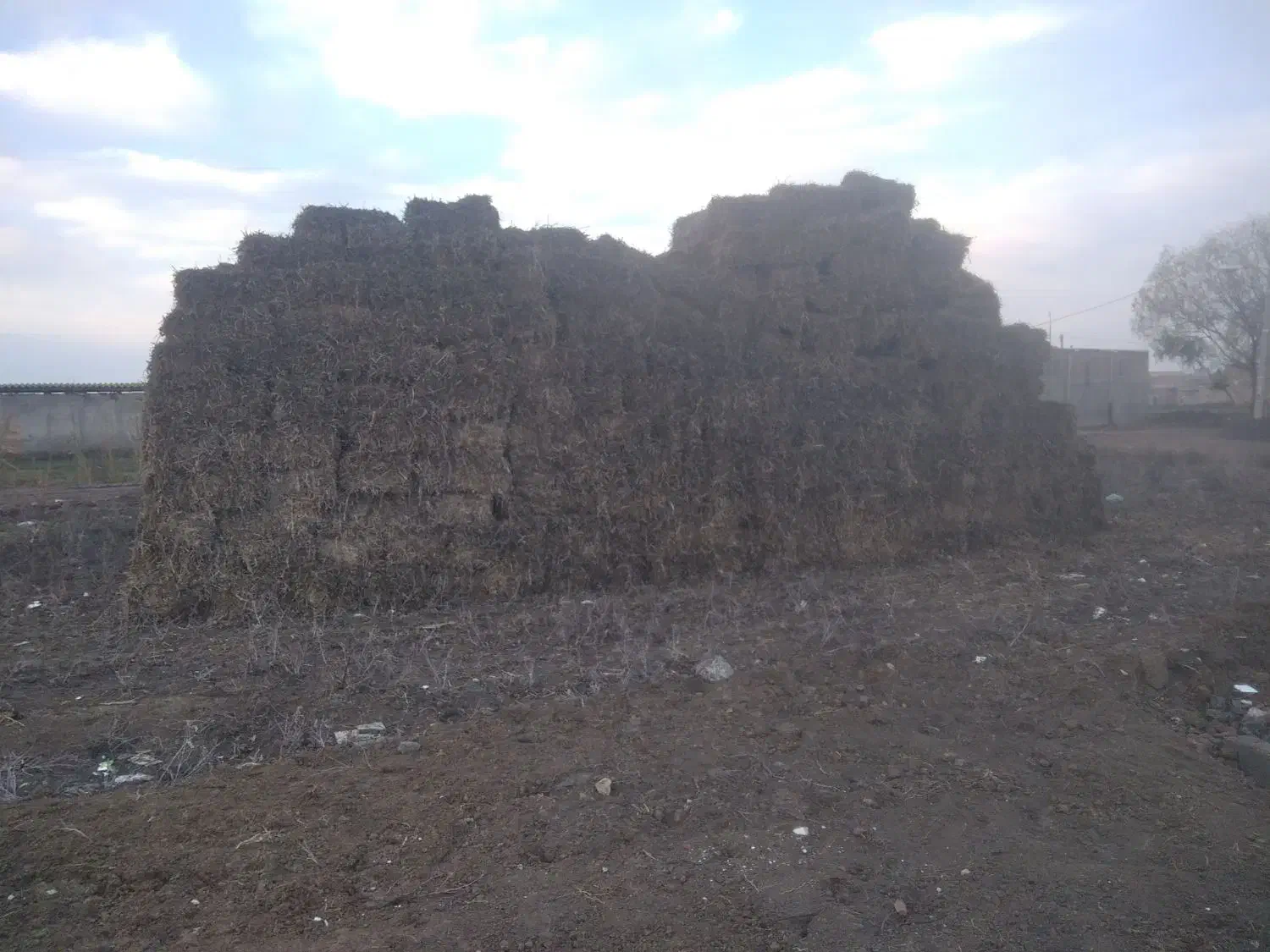 پرس،سویا پر علف مخصوص دامداری|لوازم جانبی حیوانات|پارس‌آباد, |دیوار