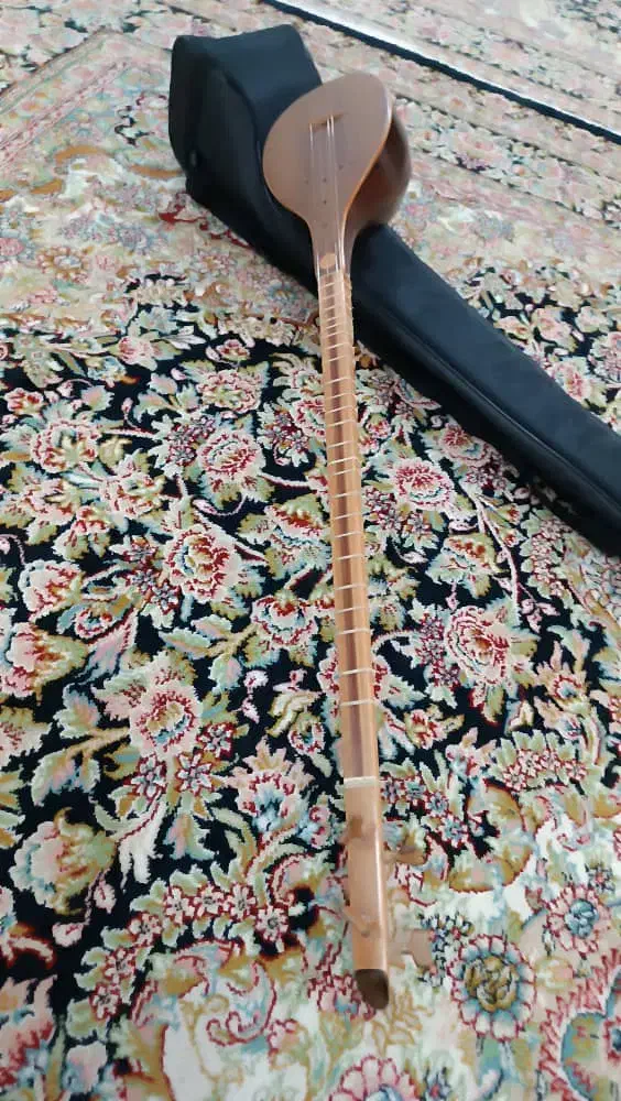 ستارحرفه ای نو و جلد نو بدون ایراد|سازهای سنتی|ملکشاهی, |دیوار