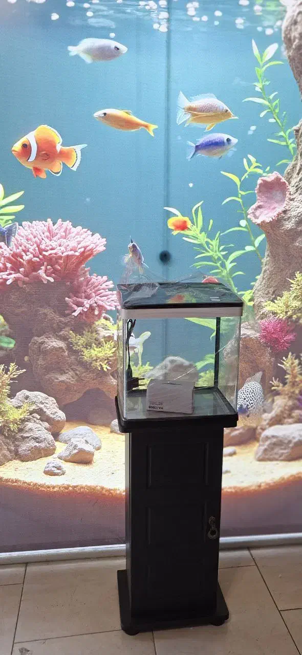 آکواریوم شرکتی|ماهی|اندیشه, اندیشه فاز ۱|دیوار