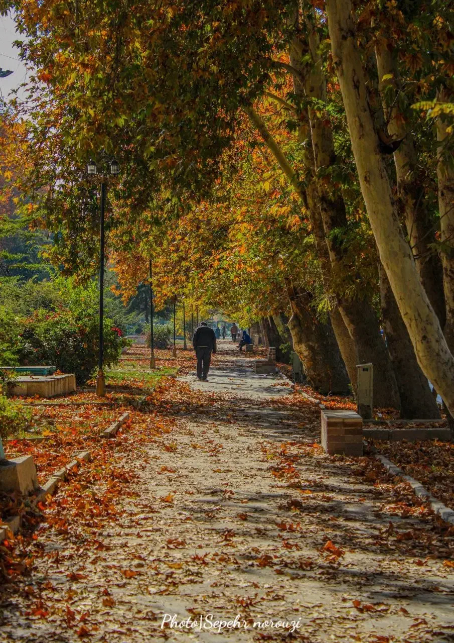 ورزش|کوهنوردی و کمپینگ|کرمانشاه, |دیوار