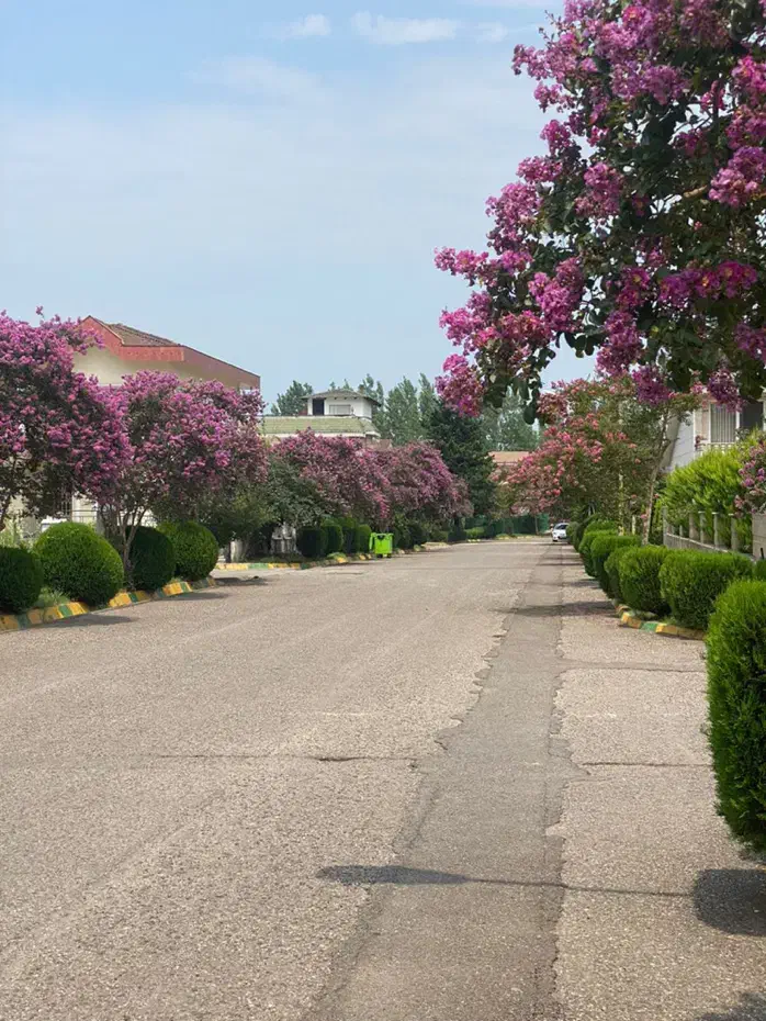 نمک آبرود /ویلا مجاورت فضای سبز|فروش خانه و ویلا|چالوس, |دیوار