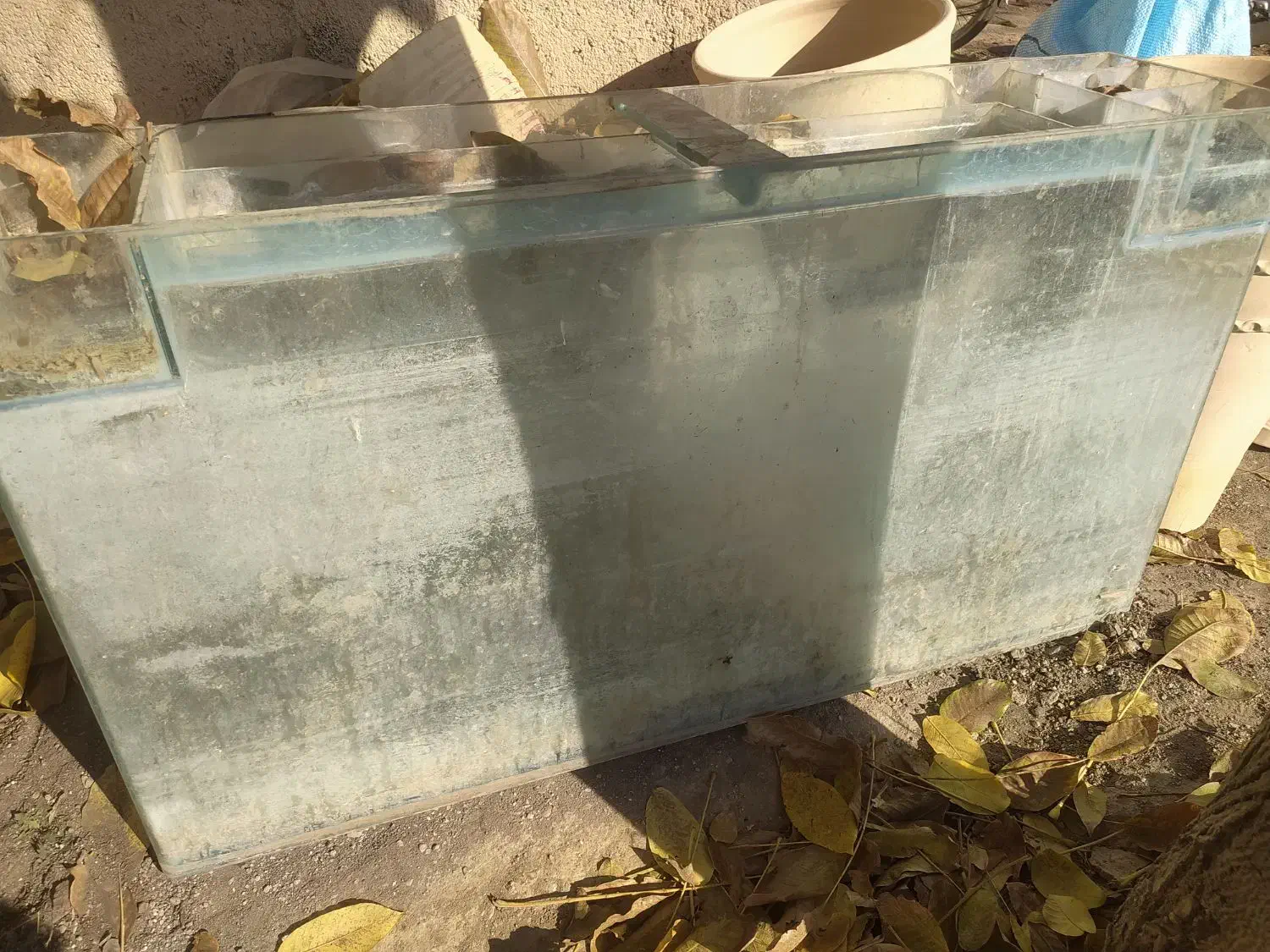 اکواریوم شیشه خم|ماهی|همدان, |دیوار