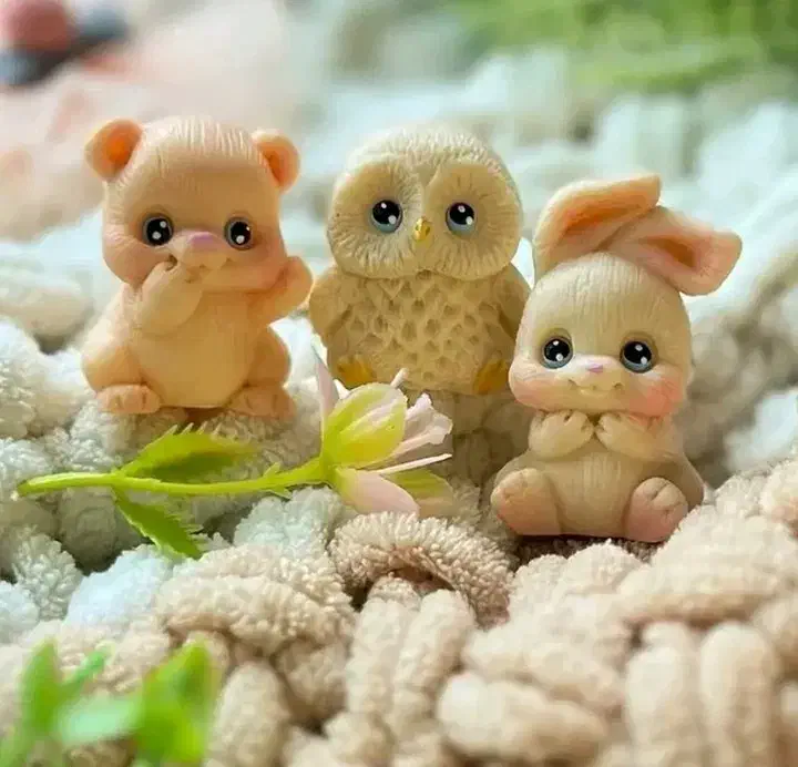 انواع شمع و گیفت های به یادماندنی.یلدایی وغیره|صنایع دستی و سایر لوازم تزئینی|داراب, |دیوار