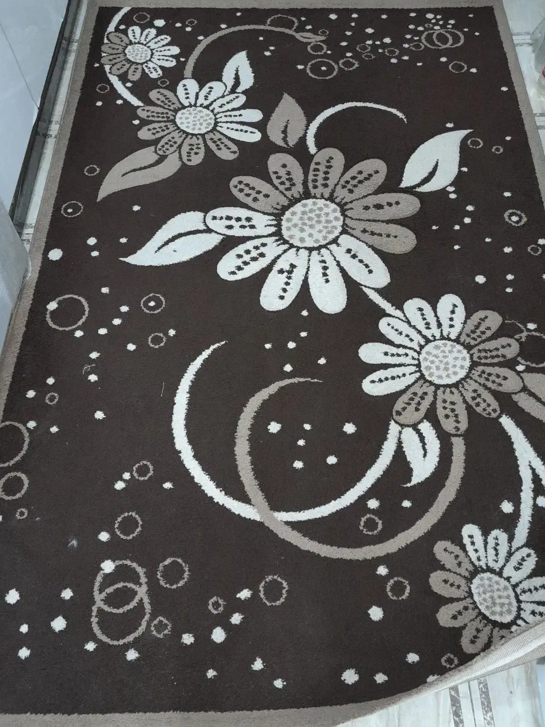 قالی ۱۲ متری|فرش|بندر ماهشهر, |دیوار