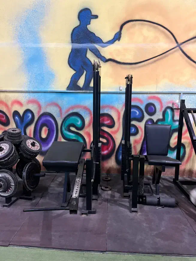 فروش وسایل باشگاه بدنسازی|تجهیزات ورزشی|دهدشت, |دیوار