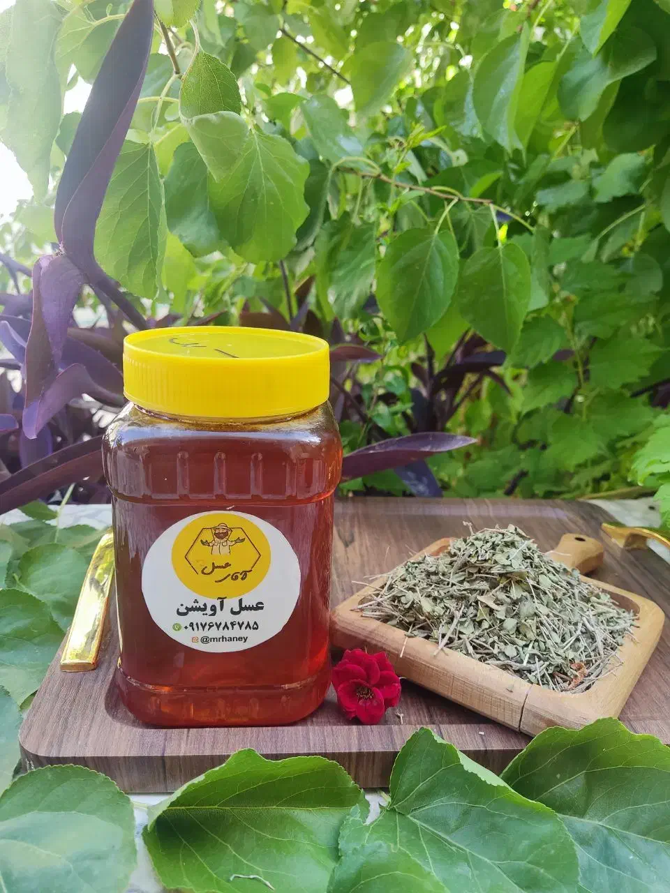 شهر عسل|خوردنی و آشامیدنی|بندرعباس, |دیوار