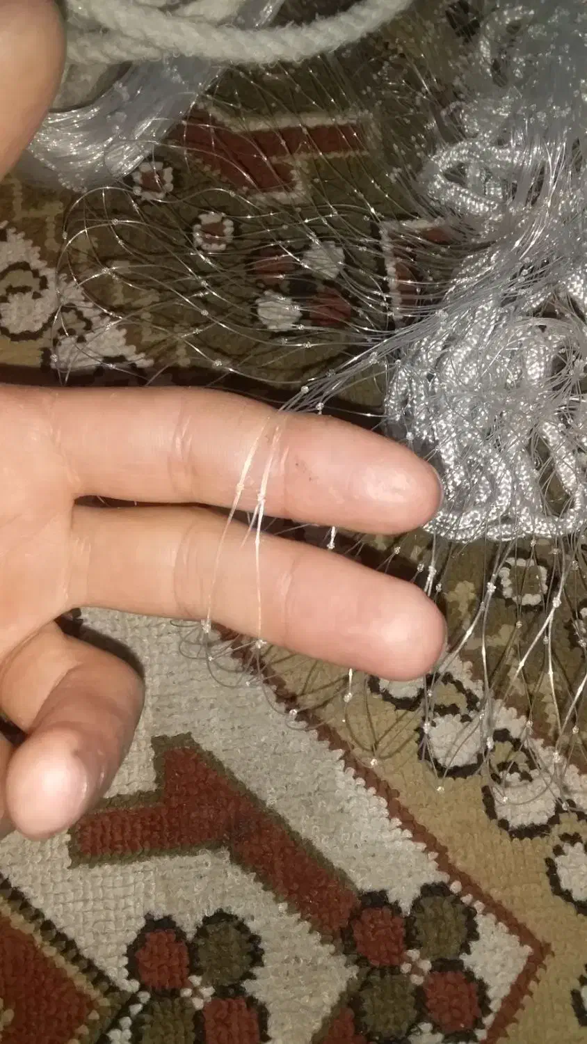 تور پرتابی ویژه ماهیگیری|ماهیگیری|سنندج, |دیوار