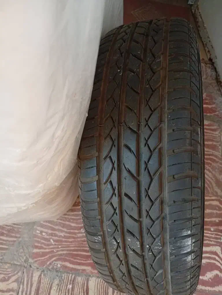 رینگ لاستیک پراید|قطعات یدکی و لوازم جانبی|شیراز, ده پیاله|دیوار