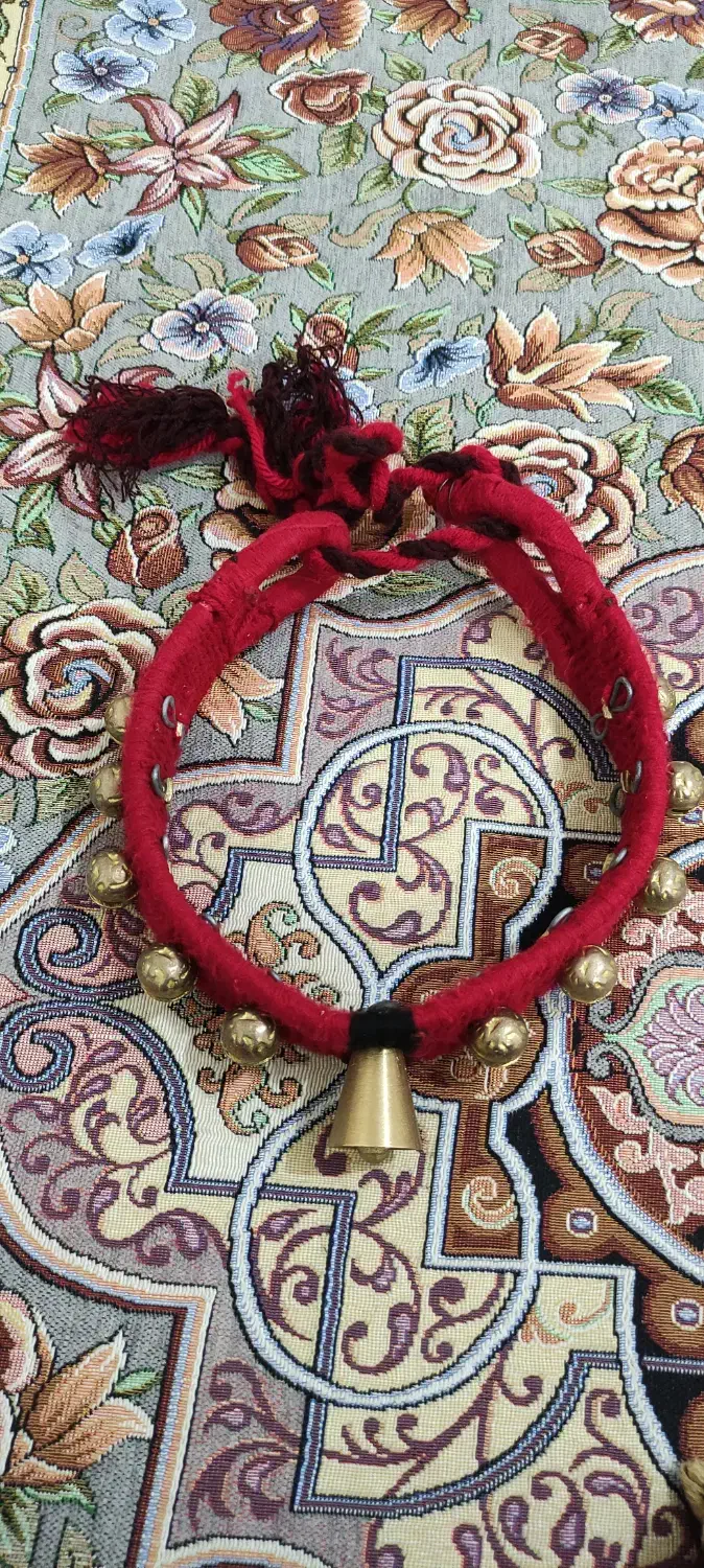 قورچه|لوازم جانبی حیوانات|فلاورجان, |دیوار