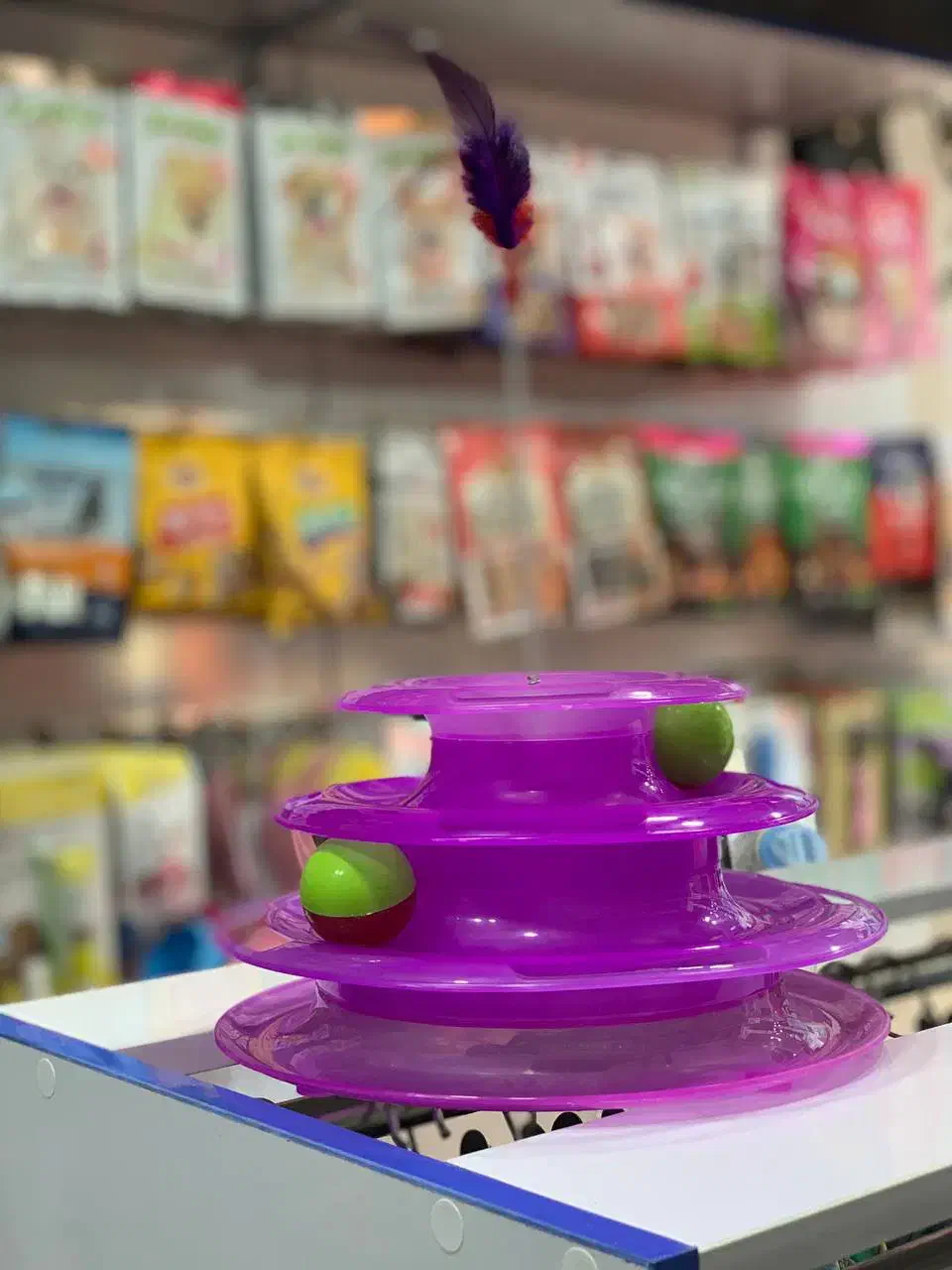 نیروی کار|استخدام خدمات فروشگاه و رستوران|رشت, چله خانه|دیوار