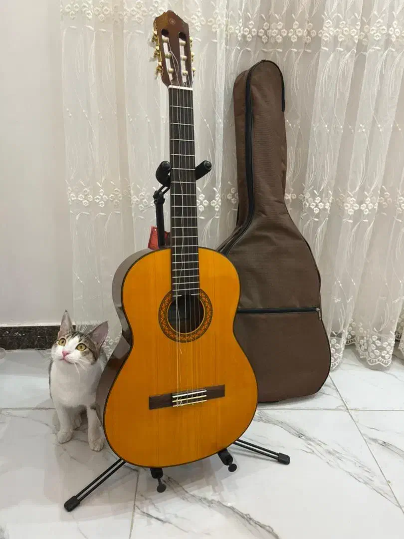 گیتار یاماها مدلc70|گیتار، بیس، امپلیفایر|رشت, استقامت ۱|دیوار