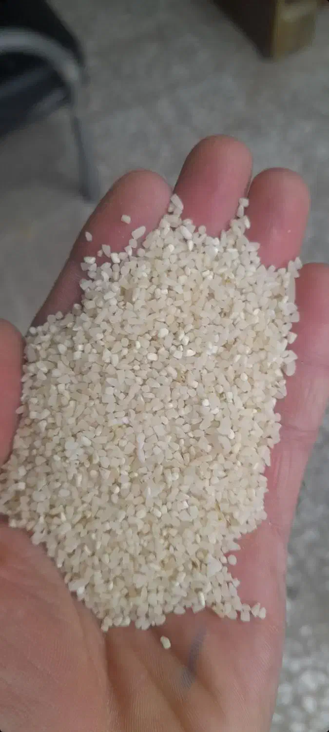 ریزدانه آردی هاشمی در گیلان|خوردنی و آشامیدنی|کرمانشاه, |دیوار