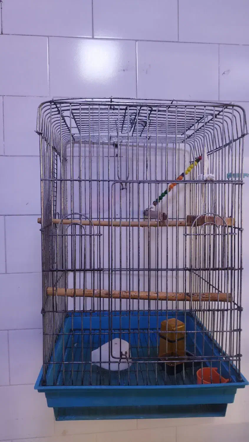 قفس 1033اصلی|لوازم جانبی حیوانات|جوانرود, |دیوار