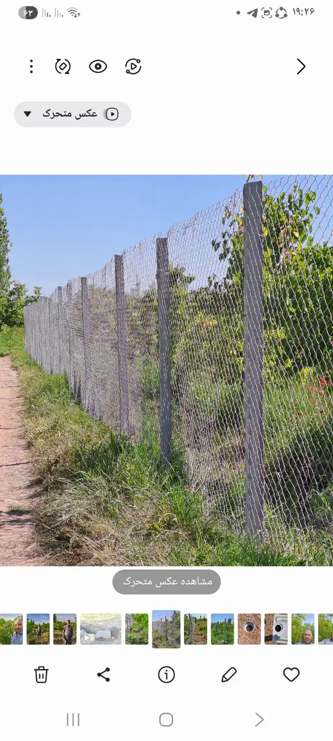 فروش باغ|فروش دفتر صنعتی، کشاورزی، تجاری|شوط, |دیوار