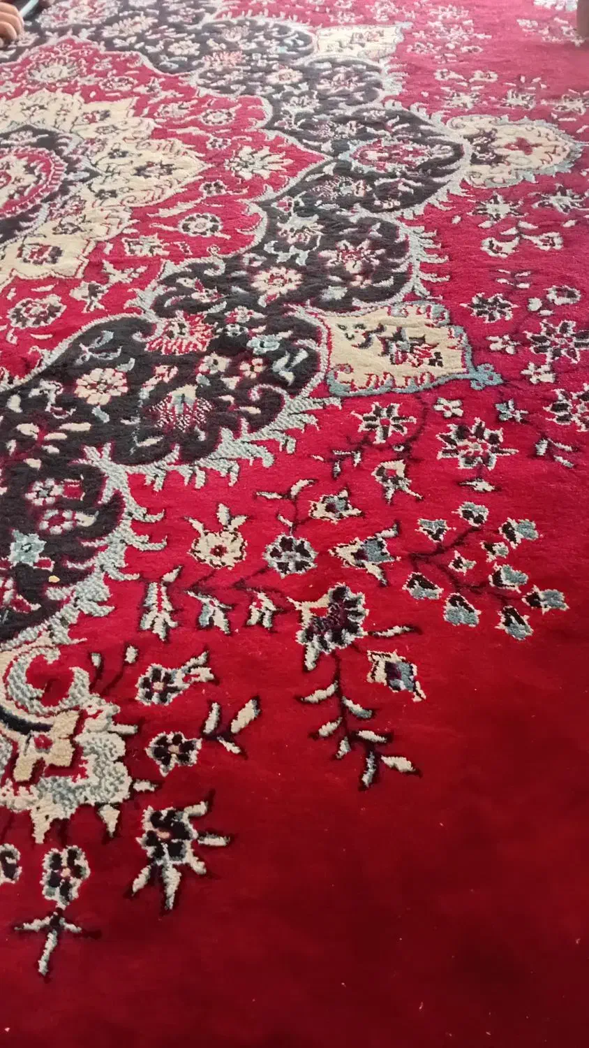 قالی|فرش|فسا, |دیوار