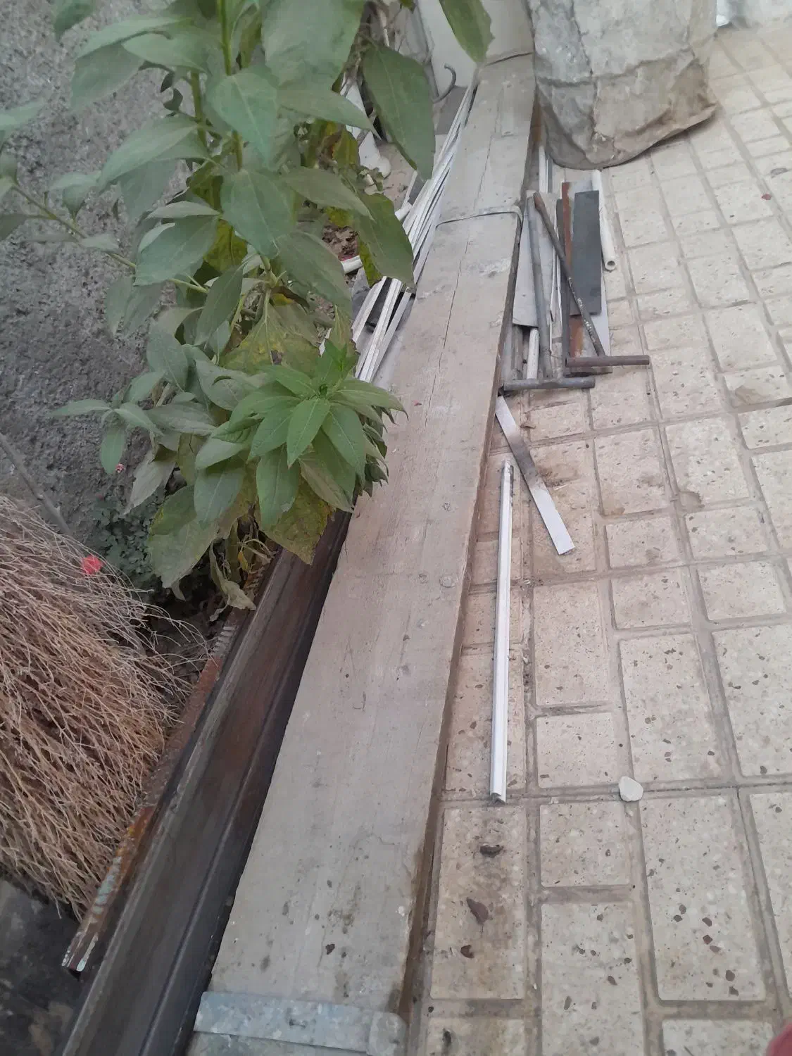 تخته گچ کاری بنایی|لوازم سرویس بهداشتی|نهاوند, |دیوار