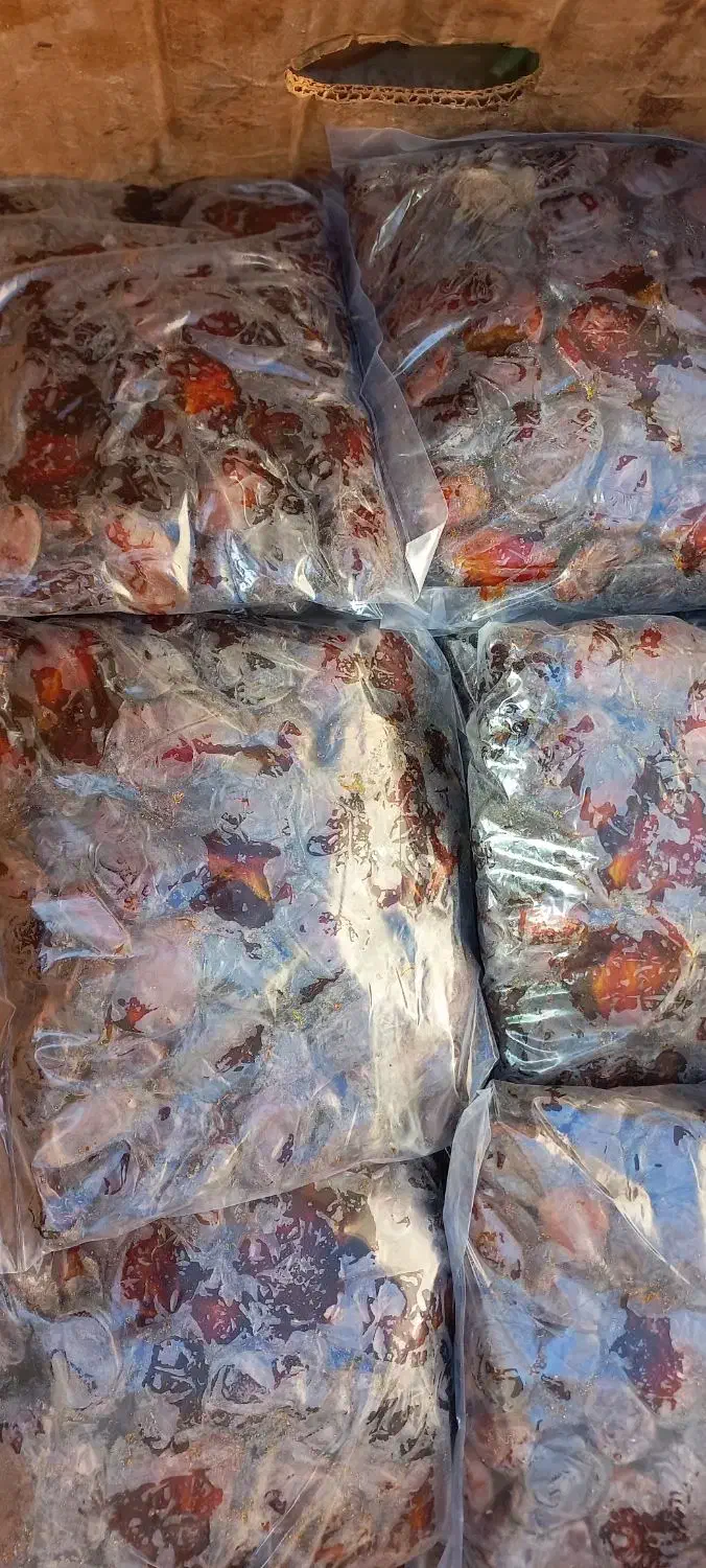 خرمای کبکاب شسته وتمیز خانگی کیلو130فعلا|خوردنی و آشامیدنی|شیراز, احمدآباد|دیوار