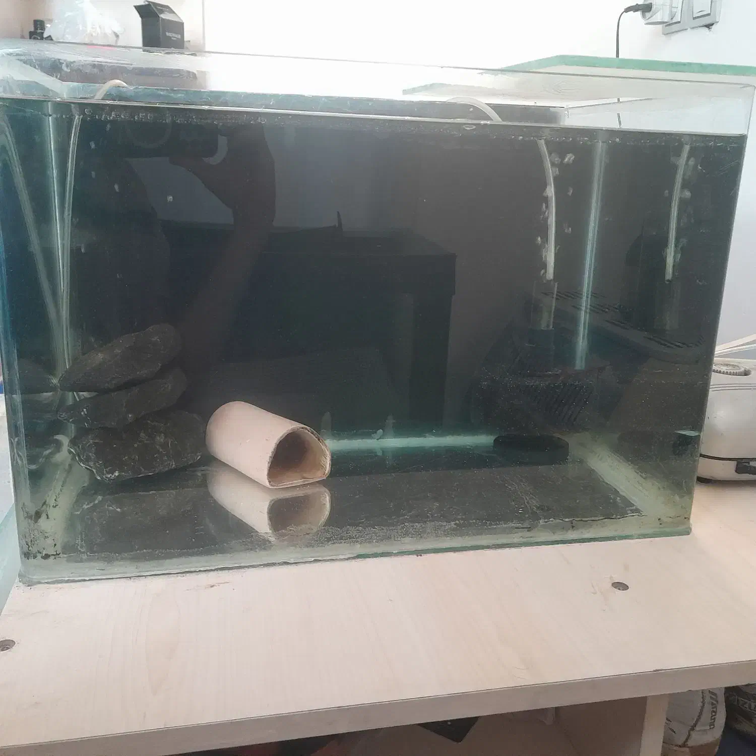 اکواریوم شیشه خم قیمت مناسب|ماهی|شیراز, تندگویان|دیوار