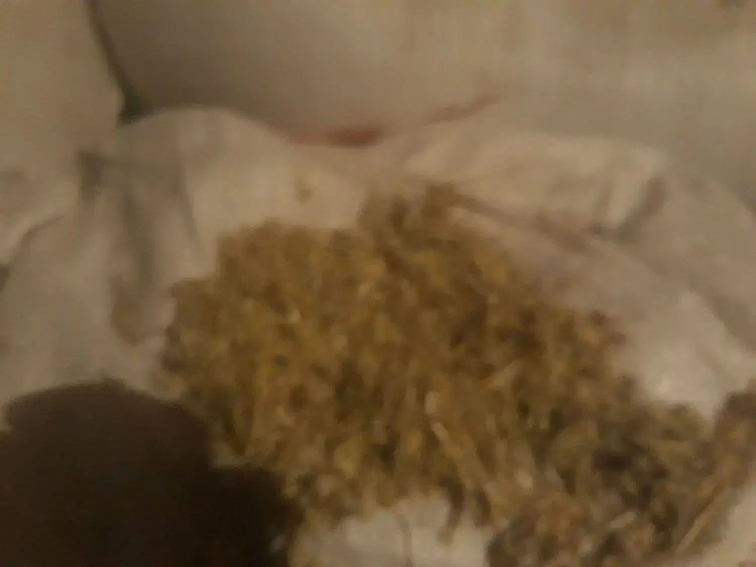 کاه عدس|حیوانات مزرعه|نیر (اردبیل), |دیوار