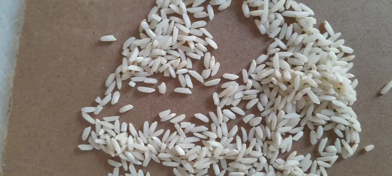 فروش برنج کاظمی ۲۵۵|خوردنی و آشامیدنی|دورود, |دیوار